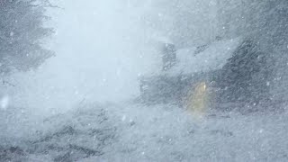 Strong Blizzard with Heavy Snowfall at Night Help Sleep | Winter Blizzard & Icy Howling Wind Sound