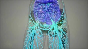 ¿Qué enfermedad provoca mucosidad espesa en los pulmones?