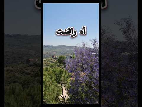 هاني شاكر تخسري اه رهنت عليكي بالعمر الجميل اكسبلور اغاني لايك 