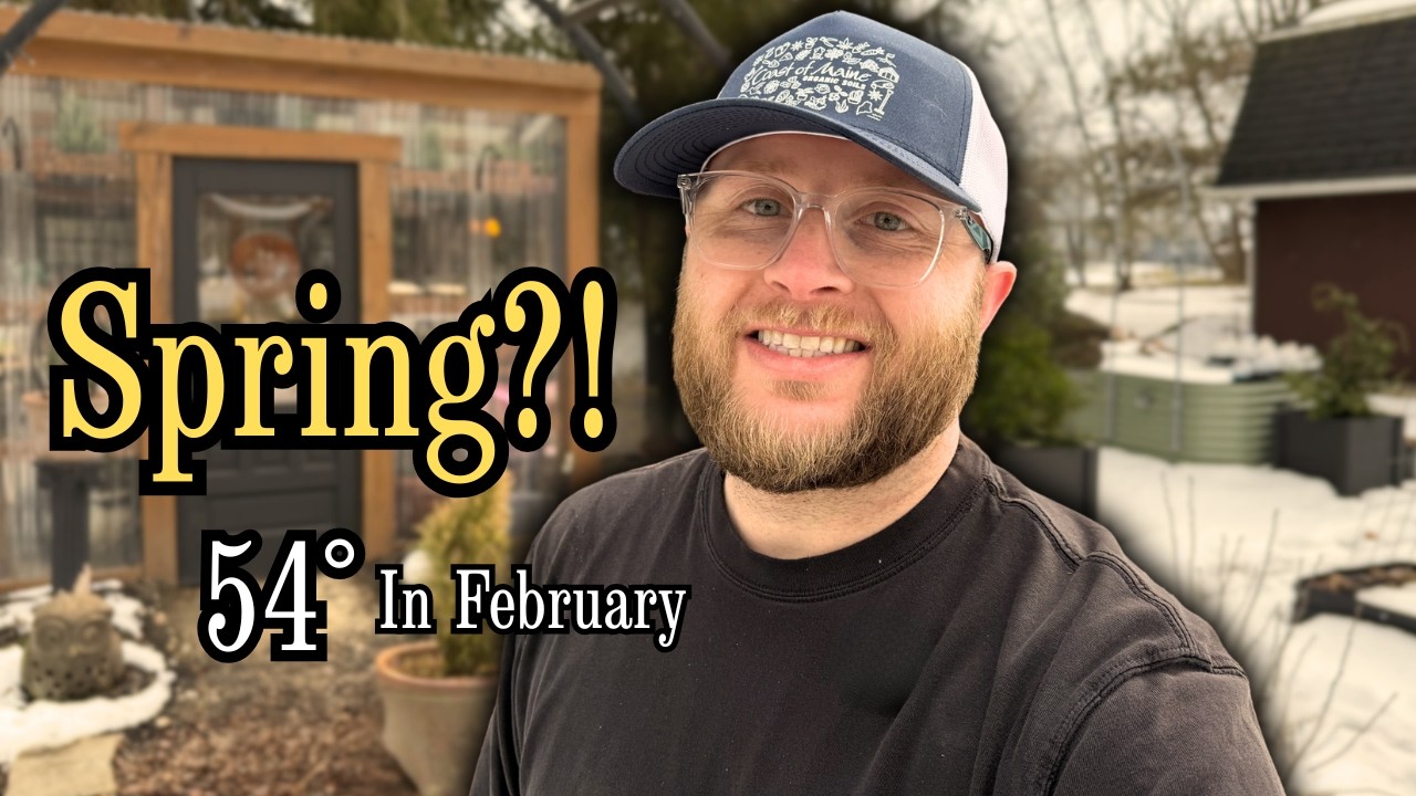 Warm February Garden Day 🌿 Garden Cleanup, Hydrangea Pruning & Seed Starting