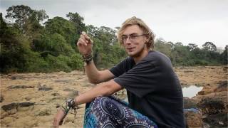 The Dragonfly Whisperer - Doentary