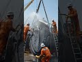 Giant Whale Lifted by Crane Unreal Size Comparison! #monkey #gorilla #wildlife #funny #competition