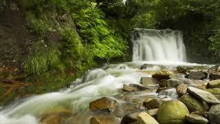 Askaros Deresi Cem Karaca Resimi