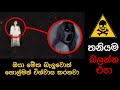 ඇත තම හ ල මන ක මර වට Ghost Caught On Camera Holman Holman Katha Education Science 