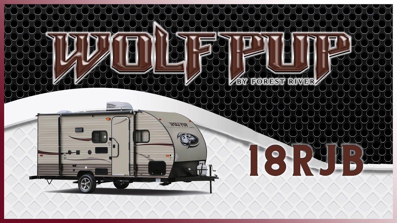 2021 Forest River Wolf Pup 18RJB For Sale Lakeshore RV YouTube