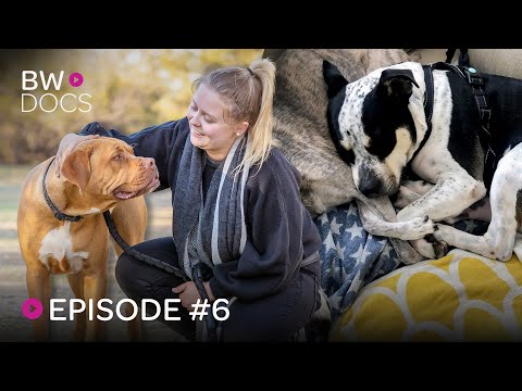 TAKE ME HOME - EPISODE 6 (BRONSON, BUSTER AND DRACO)