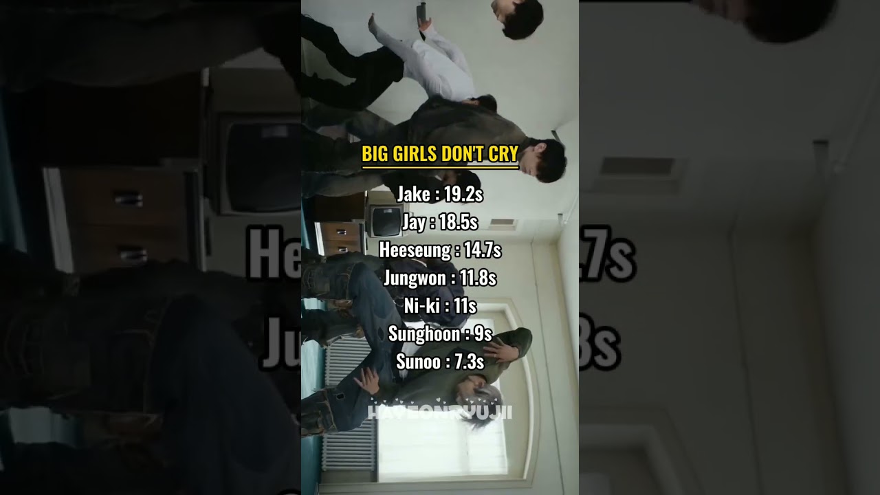 ENHYPEN THE SIN: VANISH all songs line distribution 