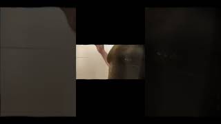 #nurture #music #alternative #dance #believe