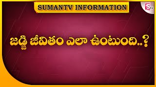 What is the life of a judge like | What is the benefits of the chief justice |SumanTV Information