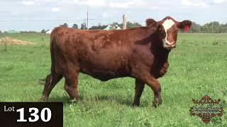 Lot 130 Eastern Harvest 2020