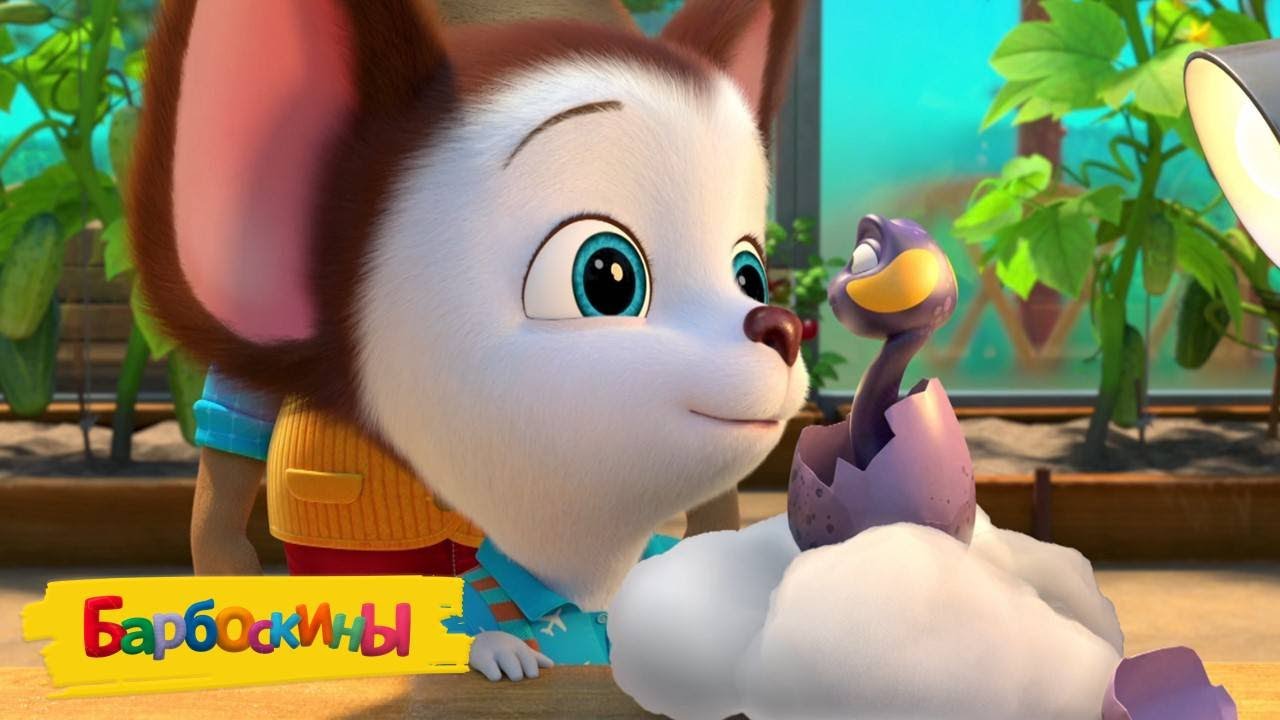 Барбоскины 🐍 Новый друг 🐍 Сборник мультиков для детей