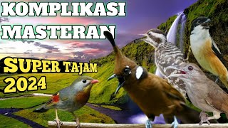 Komplikasi masteran super tajam 2024 full materi jeda 10 menit terbaik