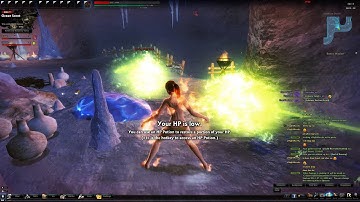 [Vindictus] Character Glitch