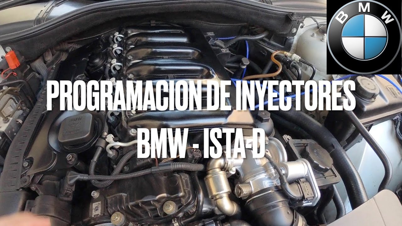 PROGRAMAR INYECTORES  BMW:  ISTA-D