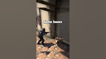 Why Counter-Strike Has Chickens... 😱