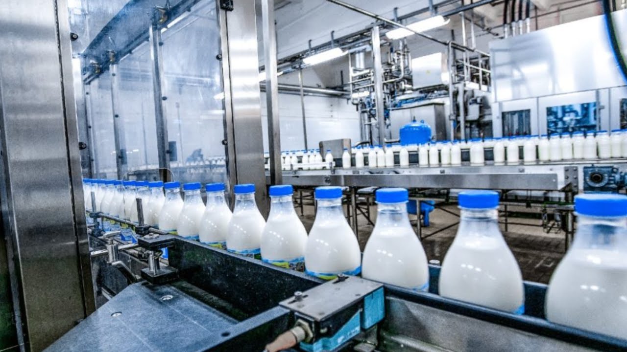 How Milk is Made YouTube