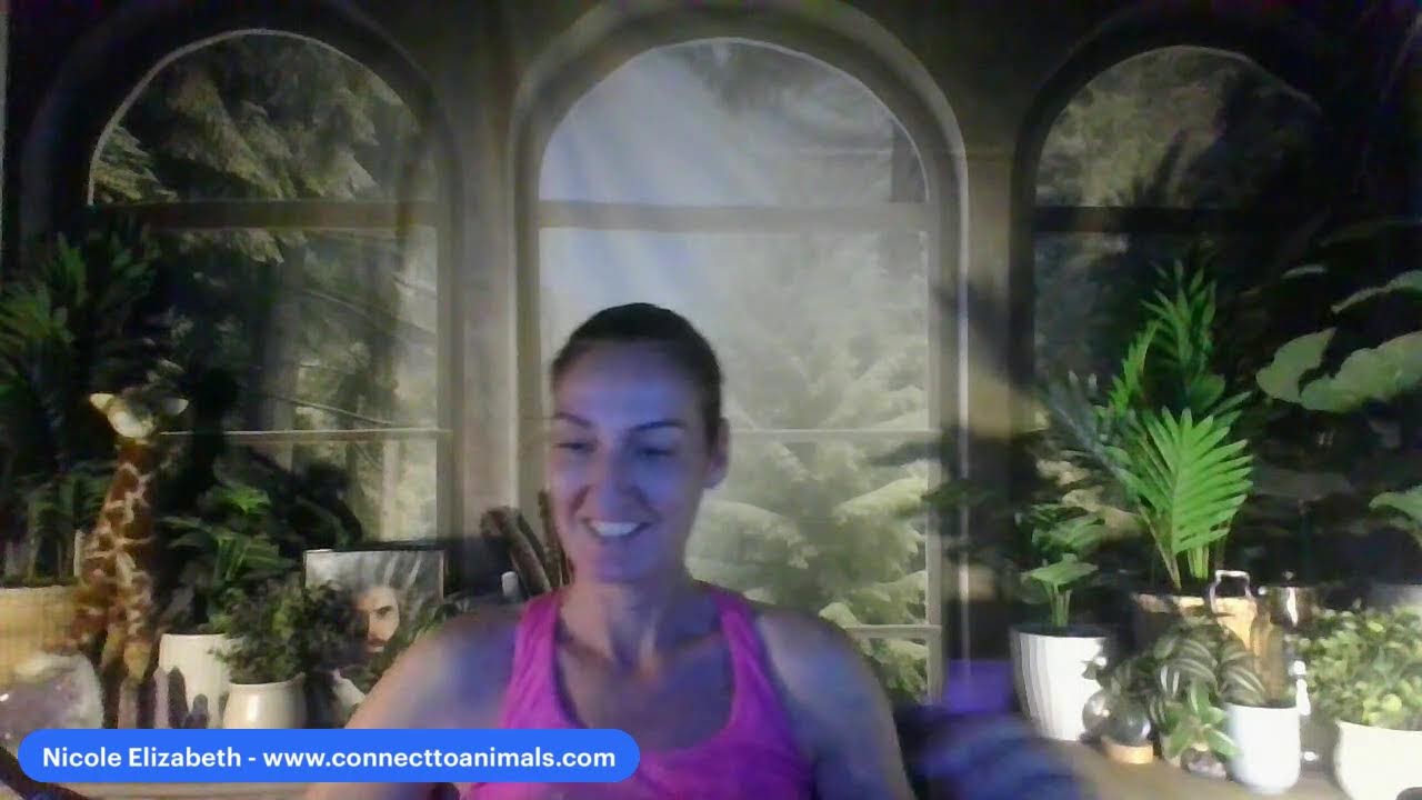 Animal Connections Show