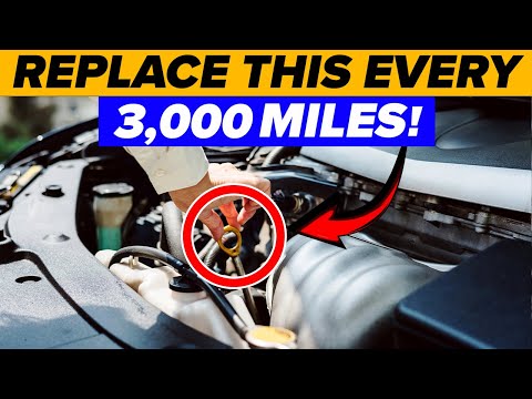 These JAPANESE SECRETS Will Make Your VOLKSWAGEN Last Over 1 000 000 Miles 