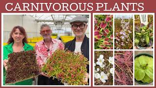 Carnivorous plant nursery tour