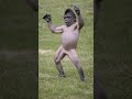 dancer....