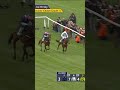 Kargese beats Lulamba & Kopek Des Bordes in the Arkle 👀
