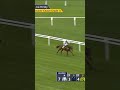 Kargese beats Lulamba & Kopek Des Bordes in the Arkle 👀