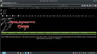 Manual Sql Injection tutorial part 1