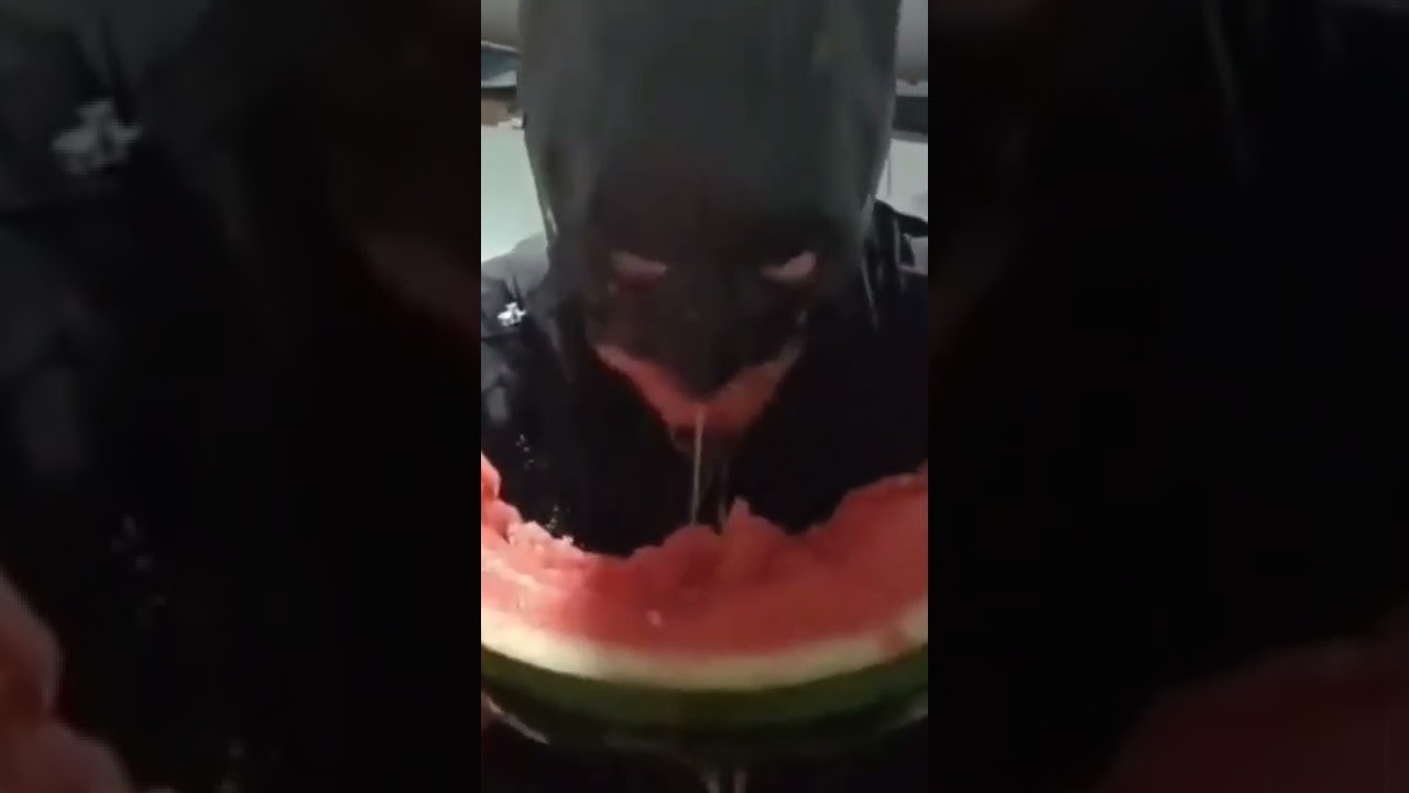 Batman eating watermelon shorts memes YouTube
