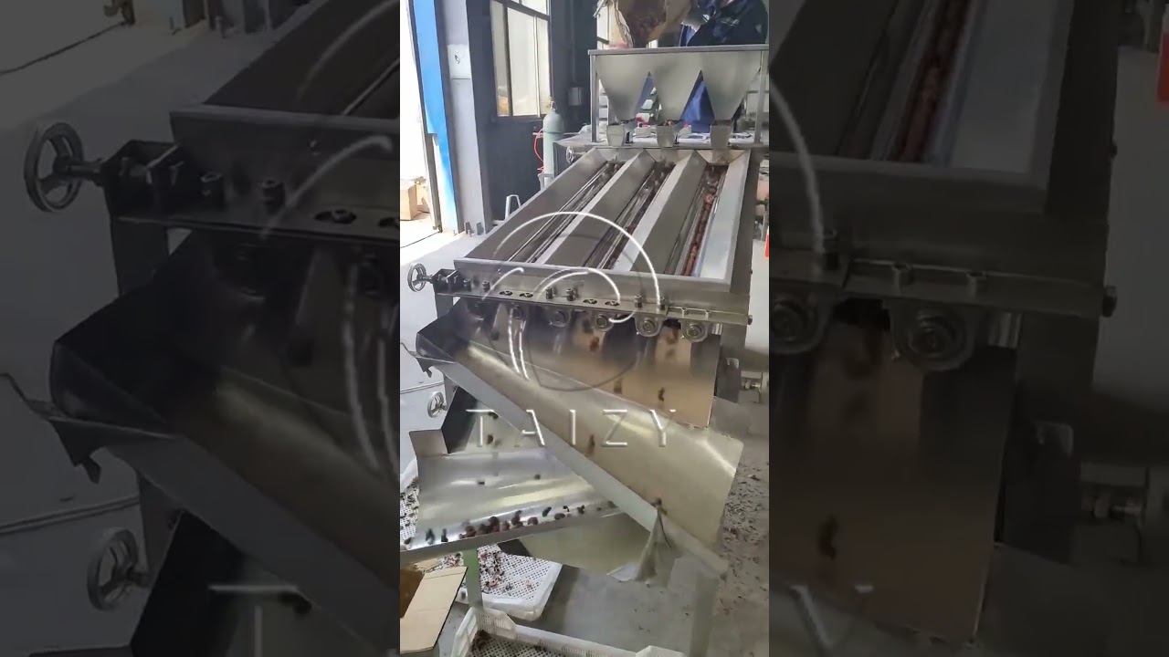 Amazing Cashew Grader | Nut Kernel Sorting Machine