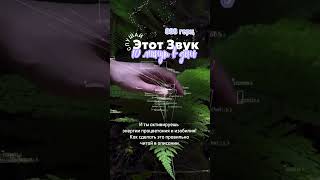 888 гц чистая вибрация. Больше - https://www.instagram.com/alhimia.zhizni?igsh=MTN6aWQ5N3hvb3kydw==