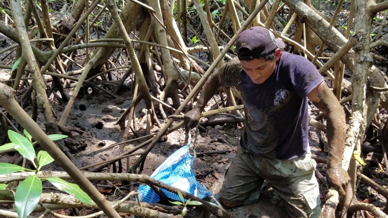 Logrará Carlos Sacar El Punche De La Cueva Descubrelo viendo Este Video