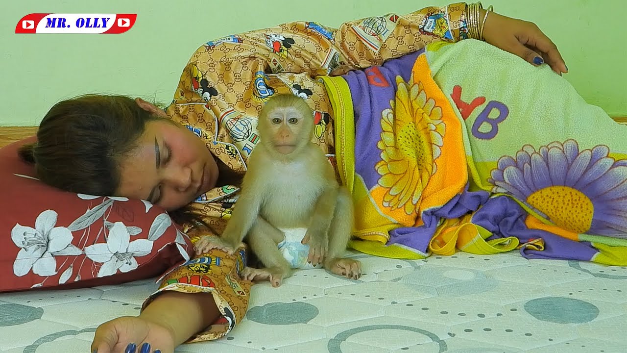 Mr. OLLY Playing And Disturb Mommy Sleep