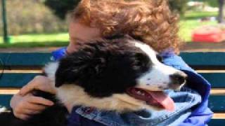 Watch Graham Parker Children  Dogs video