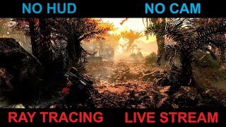Gritty Cinematic Style Ray Tracing Stream | Helldivers 2