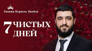 ЗАКОНЫ ПЯТЕН и ЧИСТЫХ ДНЕЙ | Cекреты Таарат А-Мишпаха | Рав Исраэль Якобов