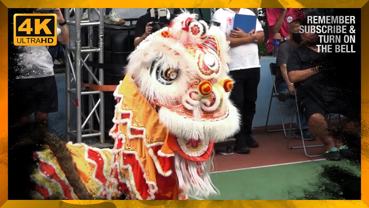 2O23 Hong Kong Hong CLou Traditional Lion Dance Competition 雄獅樓盃 獅王競賽 // 香港陸智夫國術總會 A 隊