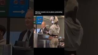 Airport Cat or Hat? ✈️