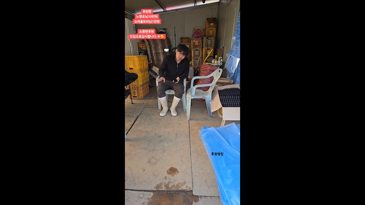 포도밭 포도농사시작ㅎ ~소통ㅎ#부천#포도밭#보라방송#빛히언#시수기릿#일상#먹방#술방#여행#시골#지리산#전북#남원#포도#부천전기줄#힐링#각종미션#국토대장정#방방봐#실시간라이브