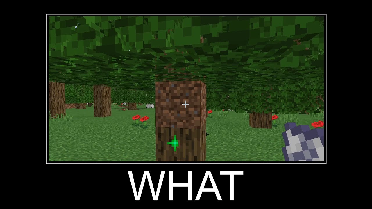 Minecraft Wait What Meme [Dirt Tree]