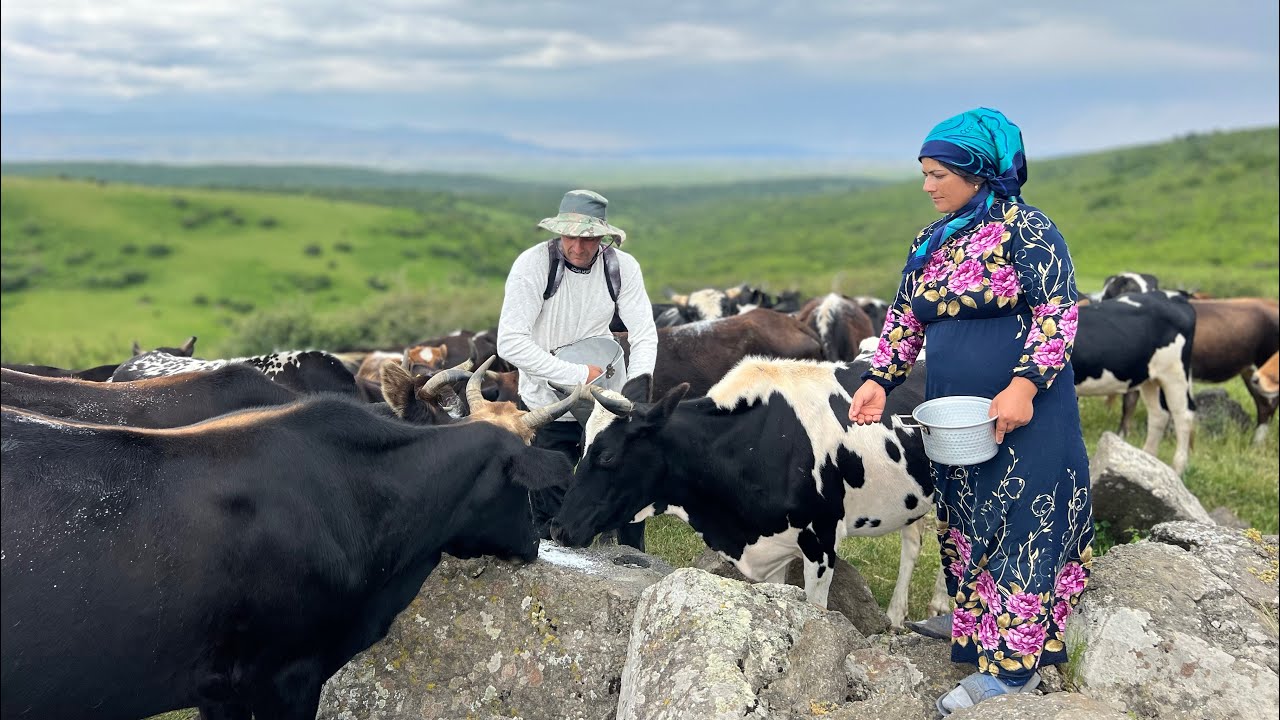 Feeding Salt to the Cows & Baking Fresh Tandoor Bread in the Village