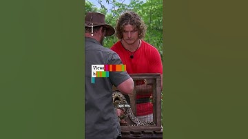 Horrifying video of Nick Cummins