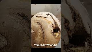 Woodturning Hardest Root
