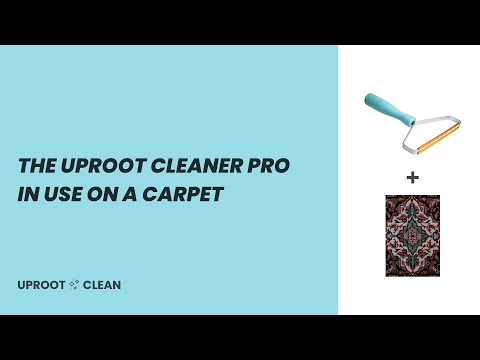 The Uproot Cleaner Pro™ in use on a carpet