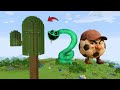 i Found Scariest CARTOON CAT AND CAP FOOTBALL 😱 in Minecraft | Minecraft Horror |