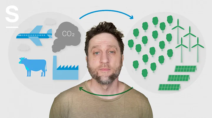 The Problem With Carbon Offsets, Explained