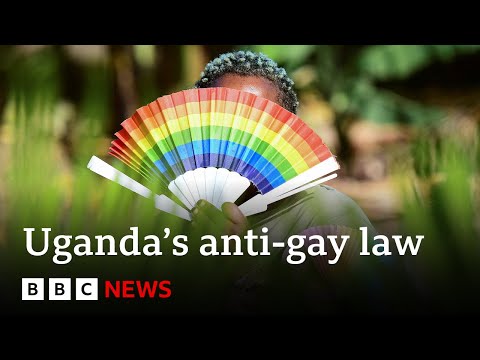 Uganda’s top appeals court rejects petition to overturn anti-gay-law | BBC News