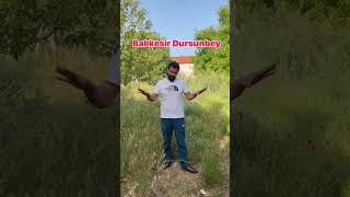 Balikesi̇r Dursunbey De Müsaki̇l Ev Ve Bahçesi̇ 660 M2 1.200.000 E Satilik Şfet