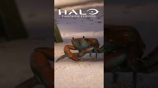 Crabs are the new Sandwiches - Halo: Campaign evolved
