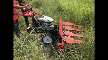 Video vận hành máy thu hoạch cỏ voi xếp dãy, máy thu hoạch cỏ voi đề điện Kawasaki 7HP