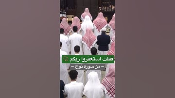 الشيخ انس العمادي من سورة نوح
